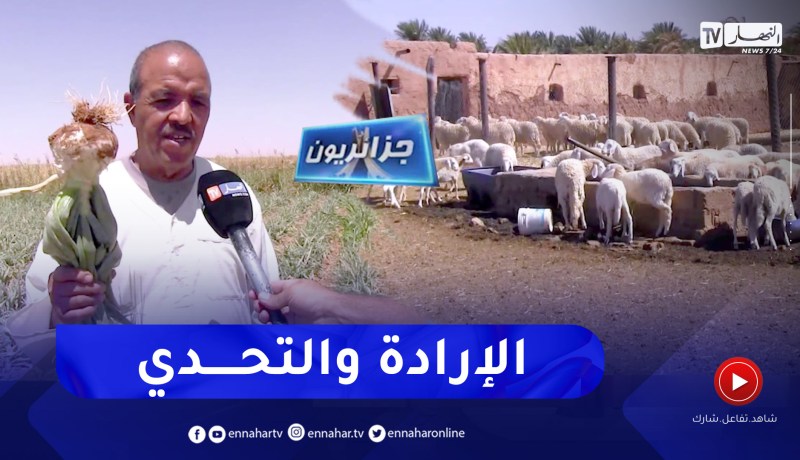جزائريون: مستثمرة الإخوة الصادق .. عنوان الإرادة والتحدي