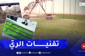 فلاحة: الري بالتقطير.. هذه أحدث التقنيات المبتكرة