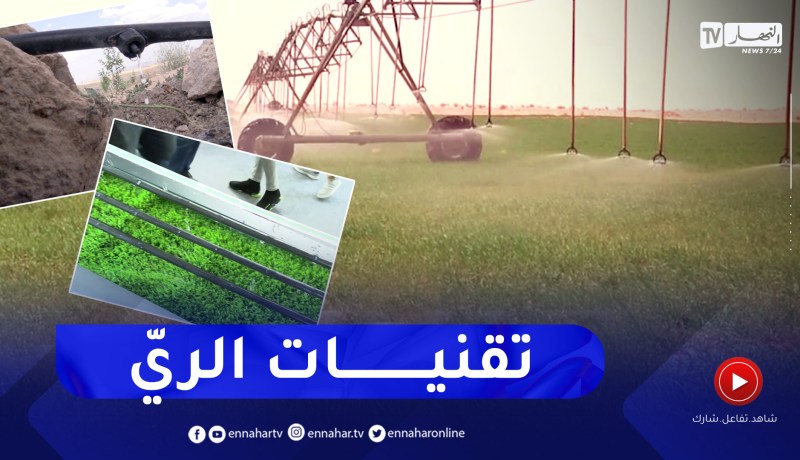 فلاحة: الري بالتقطير.. هذه أحدث التقنيات المبتكرة