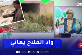 طالع هابط. تبقا بلا راس في الجلفة .. شاهد سياسة البريكولاج بواد ملاح