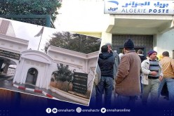 منحة التقاعد: هذه الفئة المعنية بالزيادات سنويا .. ووزارة العمل تكشف الهدف منها