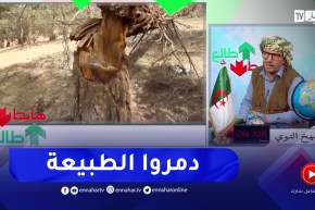 “طالع هابط: “راهي مخروبة في الجلفة”.. مئات الأشجار دمروها في الشارف