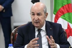 رئيس الجمهورية يستقبل رئيس مجلس التجديد الإقتصادي الجزائري