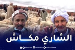 هذه أسعار المواشي في سوق سعيد  