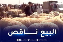 تعرف على أسعار الموشي بسوق الجلفة 