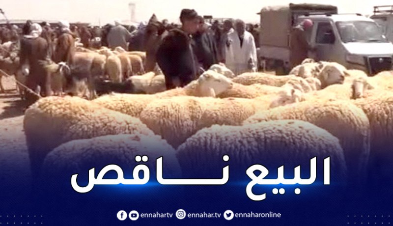تعرف على أسعار الموشي بسوق الجلفة