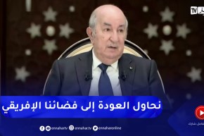 رئيس الجمهورية: الجزائر تركز على التنمية في إفريقيا سيما حفر أبار المياه، الصحة والتعليم