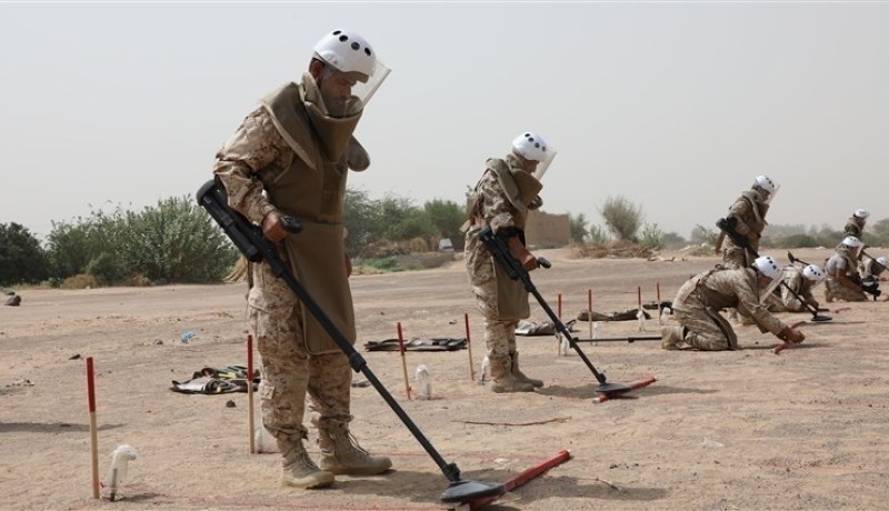 الإشادة بتجربة الجزائر الرائدة في مجال نزع الألغام
