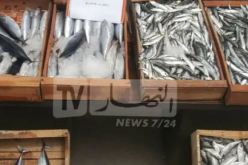 بجاية.. الدرك يحجز أزيد من 19 قنطارا  من السمك بملبو وواد غير