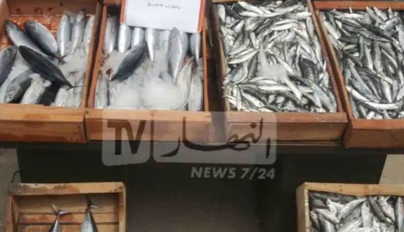 بجاية.. الدرك يحجز أزيد من 19 قنطارا من السمك بملبو وواد غير