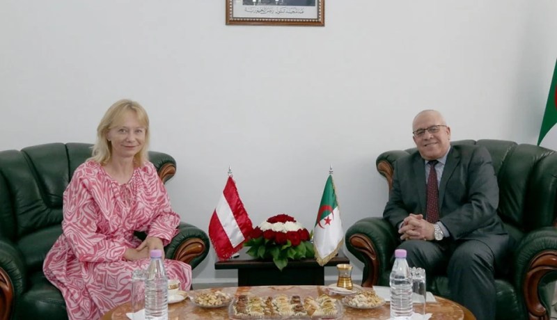 وزير النقل يبحث تعزيز التعاون والشراكة مع النمسا