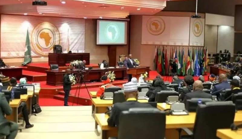 مجلس الأمة يشارك بجوهانسبورغ في أشغال البرلمان الإفريقي
