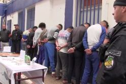 عين تموشنت: تفكيك عصابة أحياء وتوقيف 9 أشخاص مع حجز أسلحة بيضاء خطيرة وكلاب