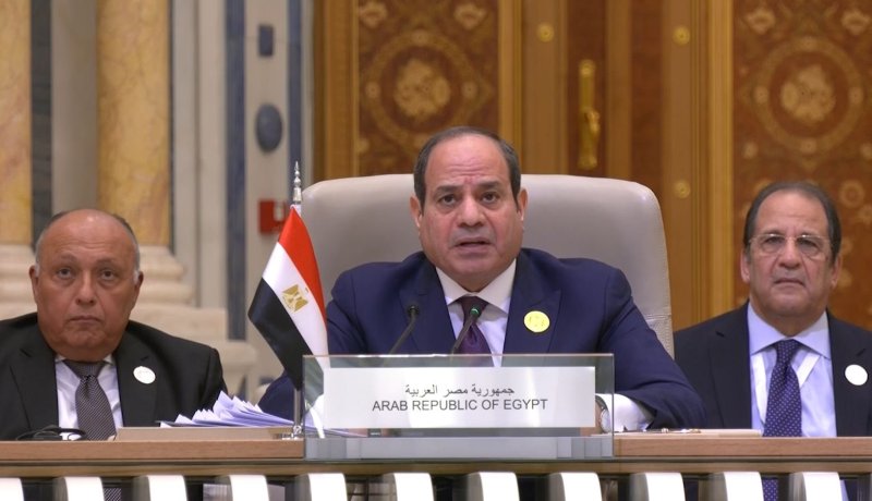 السيسي: المنطقة العربية تمر بظروف استثنائية قاسية