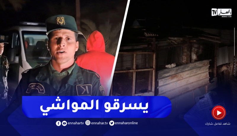 الإطاحة بشبكة إجـ.ـرامية مختصة في سرقة المواشي بالوادي