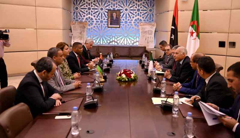 وزير الخارجية ونظيرته الليبية يناقشان فتح المعبرين الحدوديين وعديد القضايا