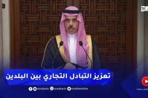 وزير الخارجية السعودي: التعاون بين البلدين يخدم أمن واستقرار العالم العربي..
