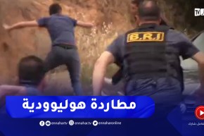 فرقة البياري تحجز كمية معتبرة من الأقراص المهلوسة مخبأة بإحكام على متن شاحنة محملة بالبصل