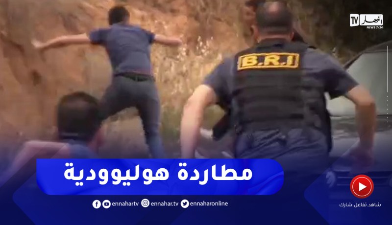 فرقة البياري تحجز كمية معتبرة من الأقراص المهلوسة مخبأة بإحكام على متن شاحنة محملة بالبصل