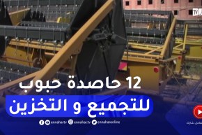 تخصيص 12 حاصدة لتجميع وتخزين الحبوب تحسبا لإنطلاق موسم الحصاد بالجلفة