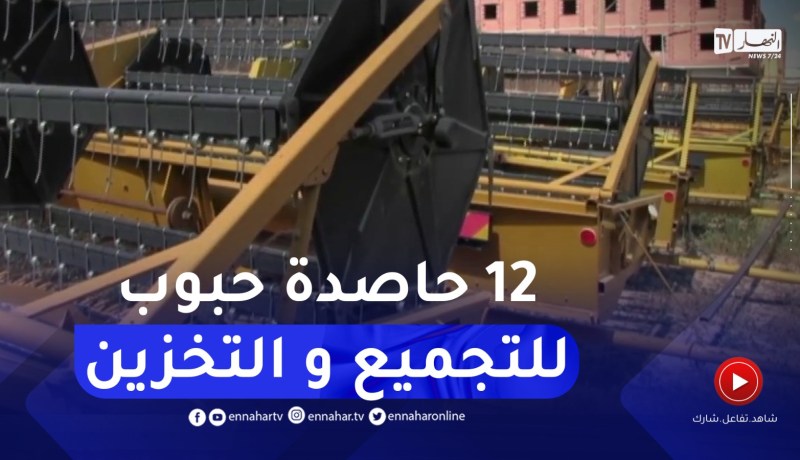 تخصيص 12 حاصدة لتجميع وتخزين الحبوب تحسبا لإنطلاق موسم الحصاد بالجلفة