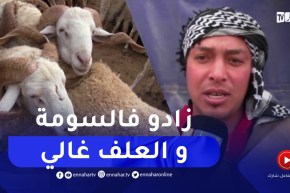 كاميرا النهار ترصد أسعار المواشي قبل عيد الاضحى بسعيدة
