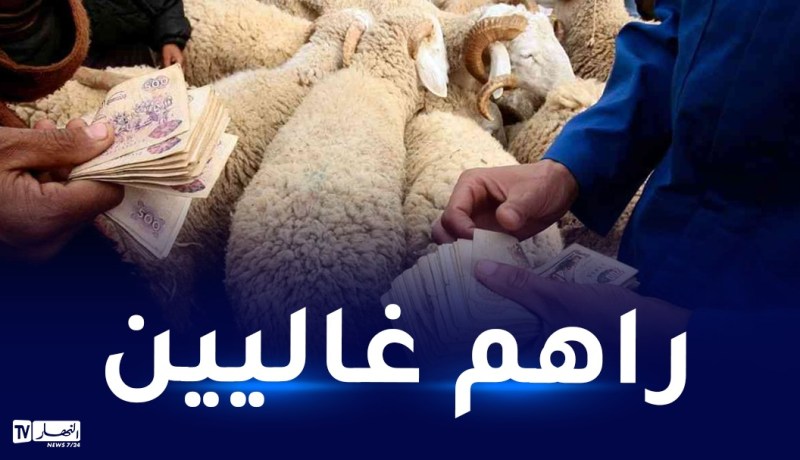 عيد الأضحى.. أسعار المواشي تلتهب والموالون يشتكون
