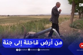 برج بوعريريج / بوجمعة.. فلاح حول أرض قاحلة إلى جنة تنتج قناطير من القمح رغم الجفاف