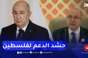 “رئيس الجمهورية” : نسعى لحشد الدعم لفلسطين ..