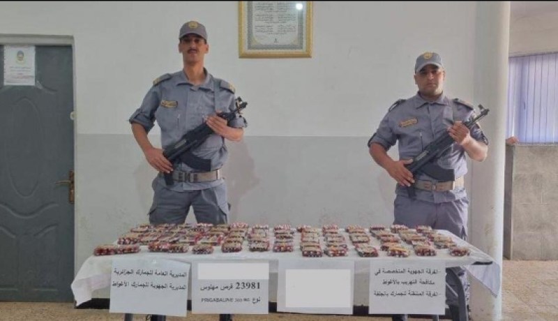 الجمارك تحجز قرابة 24 ألف قرص مهلوس بالأغواط