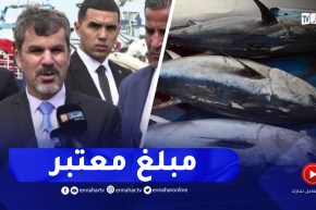 وزير الصيد البحري : صيد التونة سيدعم الخزينة العمومية بـ 27 مليون دولار