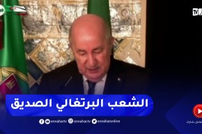 الرئيس تبون : سجلنا توافق وجهات النظر في مختلف المجالات