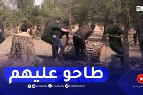 الجلفة : توقيف 04 أشخاص و حجز شاحنة محملة بالخشب و 05 مناشير أوتوماتيكية