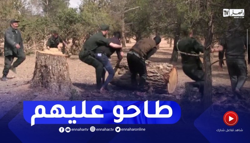 الجلفة : توقيف 04 أشخاص و حجز شاحنة محملة بالخشب و 05 مناشير أوتوماتيكية