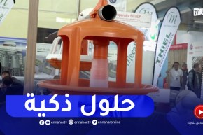 شعبة الدواجن والبيض..تقنيات عالية وحلول ذكية لمواجهة العقبات