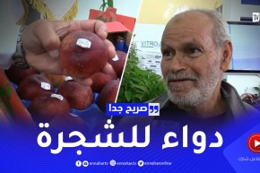 صريح جدا: بعد الجفاف.. الأمطار تعيد الأمل للفلاحين الجزائريين