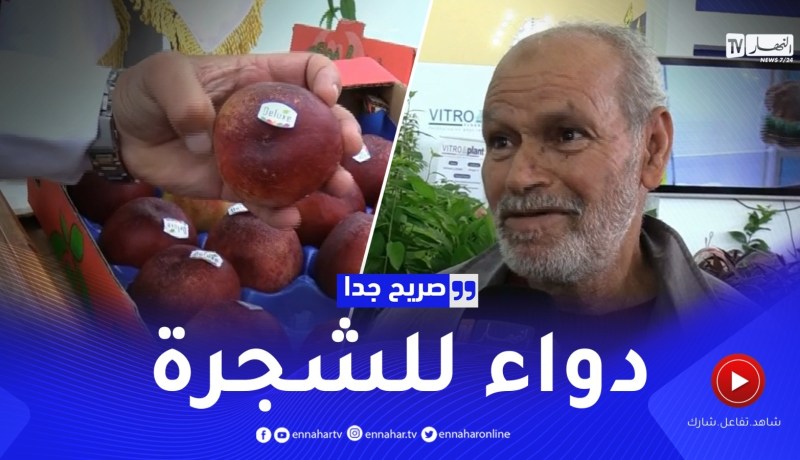 صريح جدا: بعد الجفاف.. الأمطار تعيد الأمل للفلاحين الجزائريين