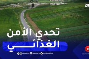 قسنطينة : حلول وإقتراحات لتخفيف أضرار الجفاف خلال الندوة العلمية للأمن الغذائي