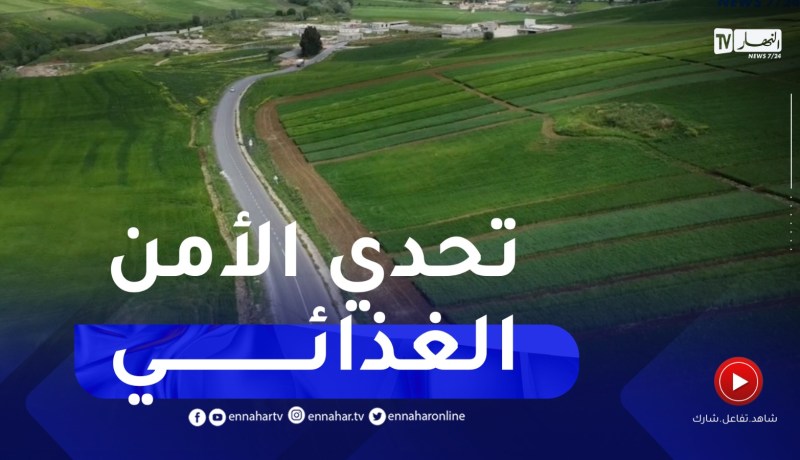 قسنطينة : حلول وإقتراحات لتخفيف أضرار الجفاف خلال الندوة العلمية للأمن الغذائي