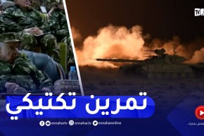 الفريق أول سعيد شنقريحة يشرف على تنفيذ تمرين تكتيكي ليلي