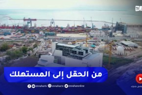 من الحقل إلى المستهلك شعار..يجسده مركب سحق البذور الزيتية لمجمع سيفيتال