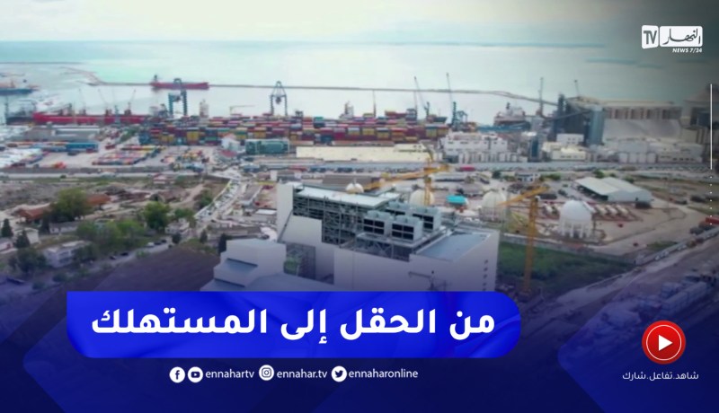 من الحقل إلى المستهلك شعار..يجسده مركب سحق البذور الزيتية لمجمع سيفيتال