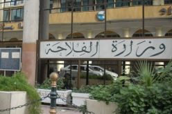 وزارة الفلاحة: إستقرار أسعار مواد تغذية الأنعام  