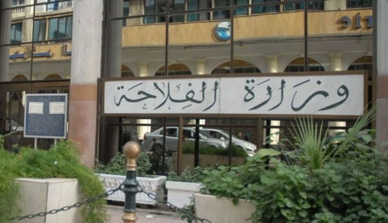 وزارة الفلاحة: إستقرار أسعار مواد تغذية الأنعام