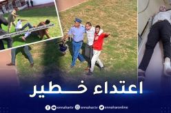 بالفيديو.. رئيس واد سلي يتعرّض إلى اعتداء خلال مباراة ترجي مستغانم