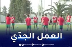 بالفيديو.. لاعبو المنتخب الوطني لأقل من 17 سنة يستعدون لمواجهة الكونغو