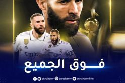 بن زيمة ينال جائزة أفضل لاعب فرنسي