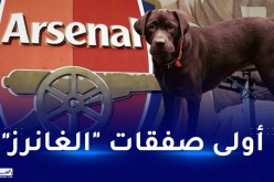 أرسنال يتعاقد مع كلب لرفع معنويات اللاعبين!