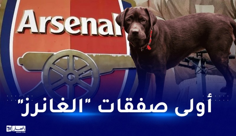 أرسنال يتعاقد مع كلب لرفع معنويات اللاعبين!