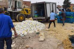 الشلف: حجز وإتلاف 2490 لتر من الحليب